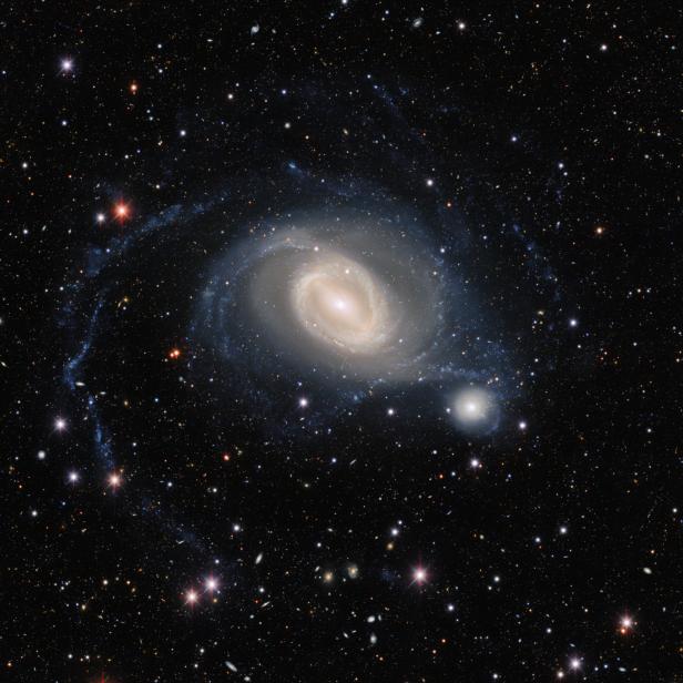 Eine Spiralgalaxie leuchtet inmitten eines Feldes von Sternen.