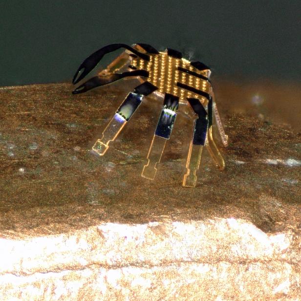 Mini-Roboter in Form einer Krabbe.