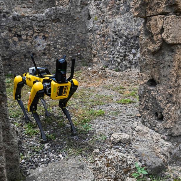Ein gelber Roboterhund „Spot“ erkundet die Ruinen von Pompeji.