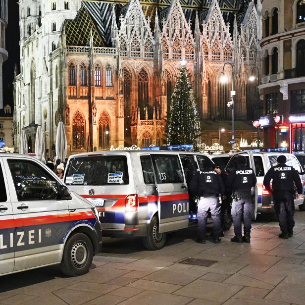 WIEN: CORONA - VORERST RUHIGER DEMO-TAG