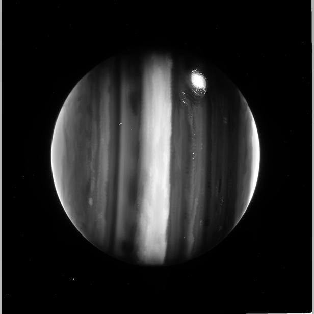 Schwarz-Weiß-Aufnahme von Jupiter des James Webb Weltraumteleskops