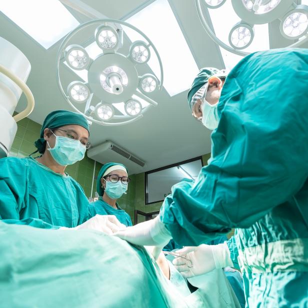 Die Methode könnte einen Durchbruch für Organtransplantationen bedeuten.