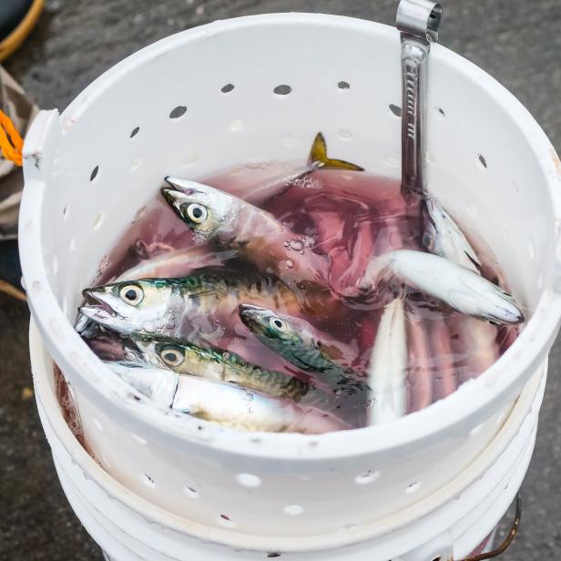 Rund 21.000 Fische starben.