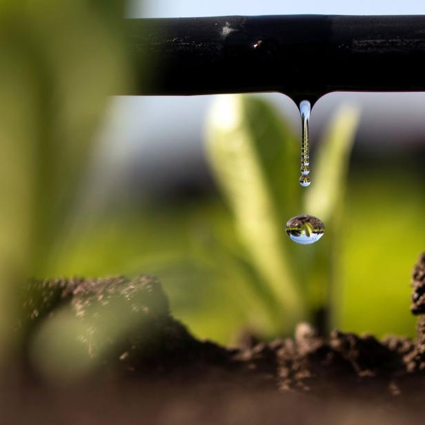 Künftig ist mehr Wasserzufuhr notwendig, um Ernteerträge zu sichern – etwa durch Tropfbewässerung