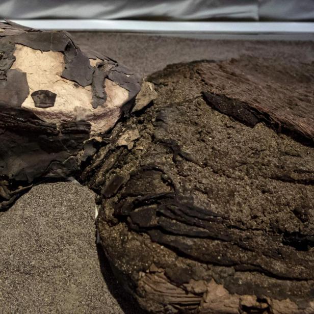 CHILE-ANTHROPOLOGY-CHINCHORRO-MUMMIES