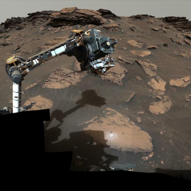 Arm des Mars Rover