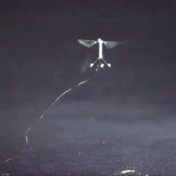 Ein kleines, fliegendes Roboterinsekt mit einem dünnen Kabel im Flug.