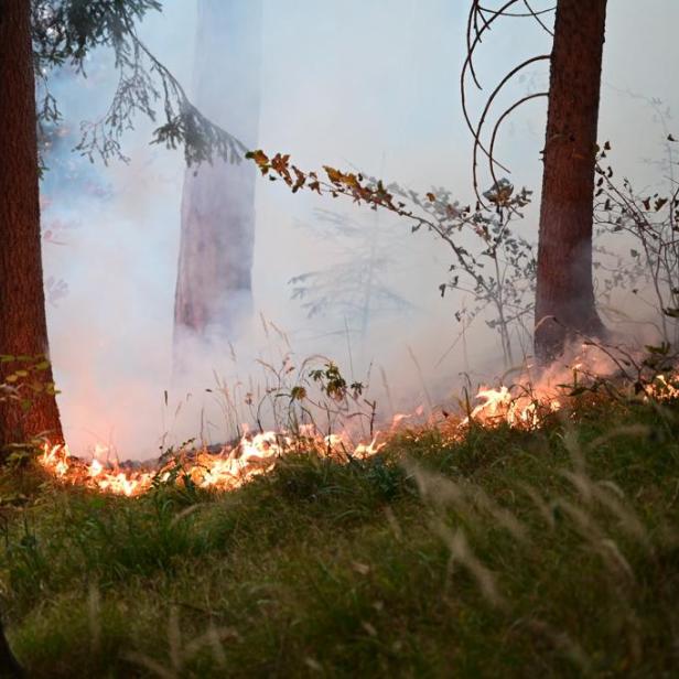 In Hirschwang in der Marktgemeinde Reichenau a.d. Rax (Bezirk Neunkirchen) ist am 26. Oktober 2021 ein Wald in Brand geraten. Im Bild: Das brennende Waldgebiet in Niederösterreich.