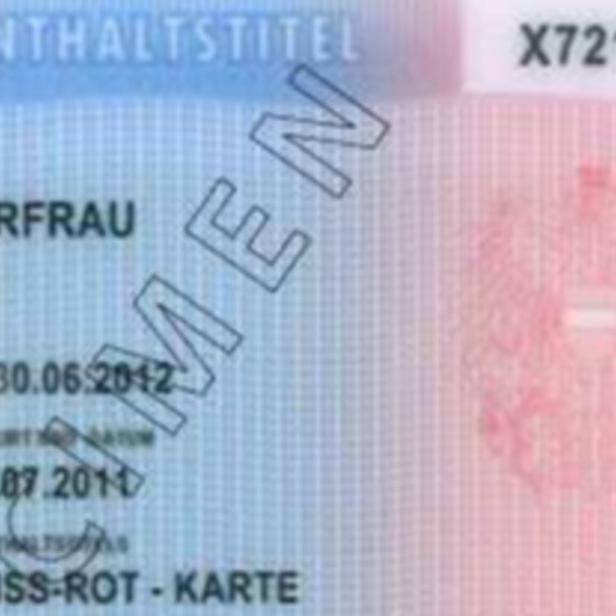 BMI, Rot-weiß-Rot-Karte, Rot weiß rot Card,