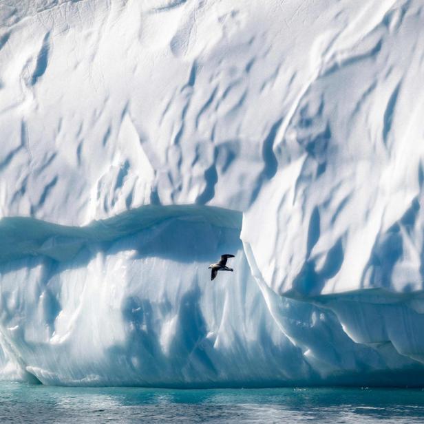 GREENLAND-ICEBERGS-ENVIRONMENT-NATURE-CLIMATE