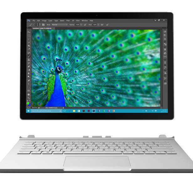 Ein Tablet-Computer zeigt ein Bild eines Pfaus in einem Bildbearbeitungsprogramm.