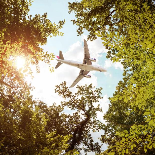 Airplane flying over trees