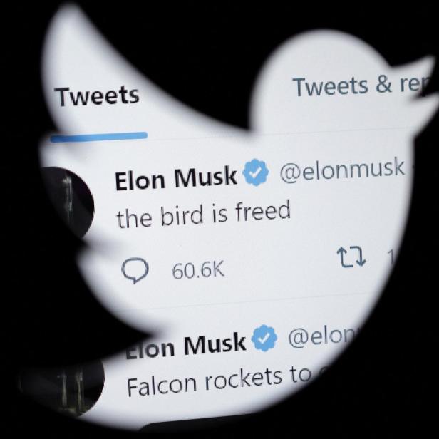 Twitter-Logo und Elon Musk