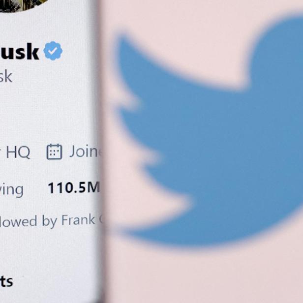 FILE PHOTO: Illustration shows Elon Musk's account and Twitter logo