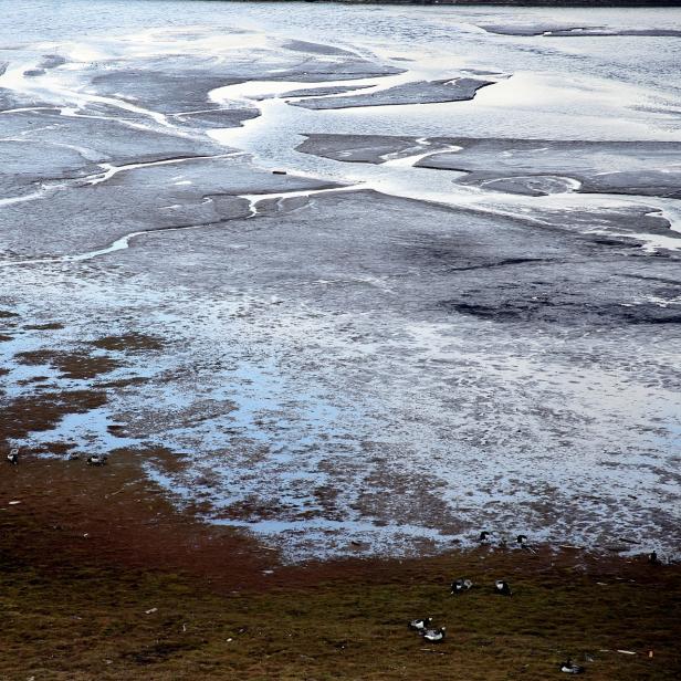 Im Permafrostboden könnten sich unzählige unbekannte Viren tummeln.