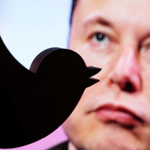 FILE PHOTO: Illustration shows Elon Musk photo and Twitter logo