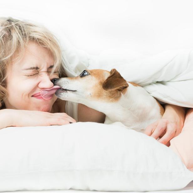 Dog bites the girl's nose.