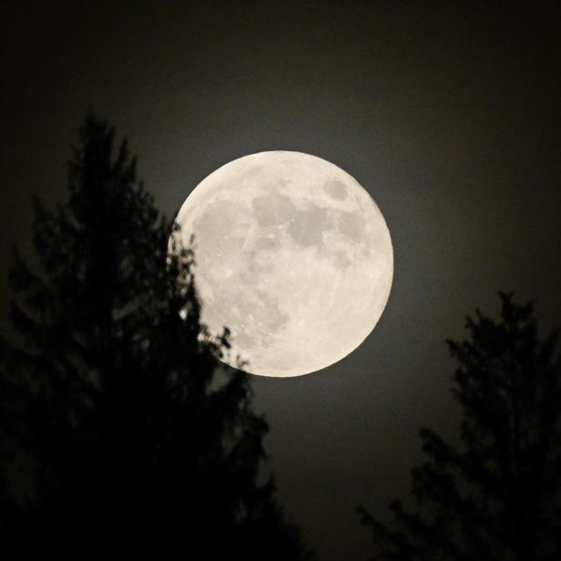 Das Rätsel um die Magnetfelder am Mond scheint gelöst.