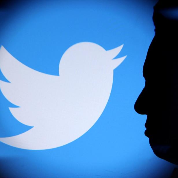 FILE PHOTO: Illustration shows Elon Musk photo and Twitter logo