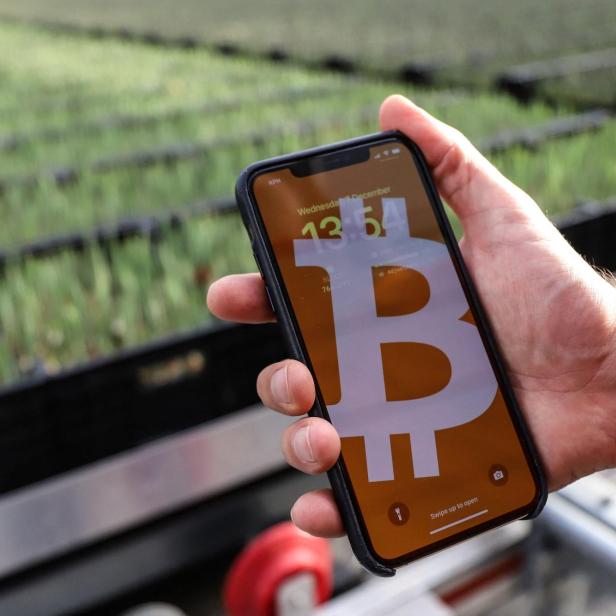 NETHERLANDS-ECONOMY-AGRICULTURE-CRYPTO