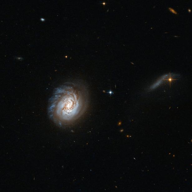 Die Galaxie MCG-03-04-014 vom Hubble Teleskop fotografiert