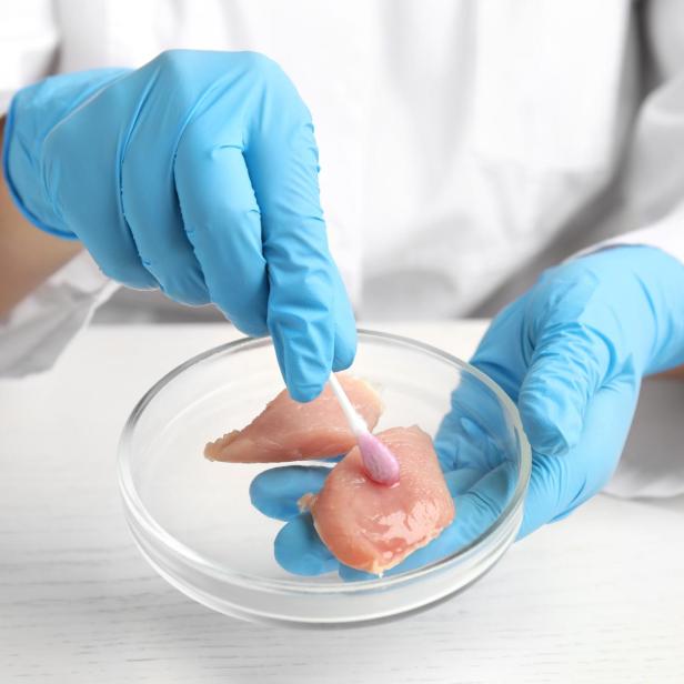 Scientist inspecting meat at table in laboratory, closeup. Poison detection