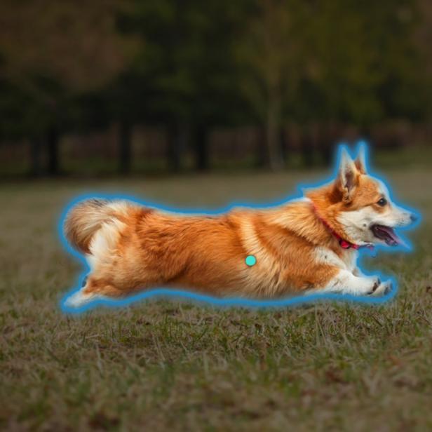 Freigestellter Corgie