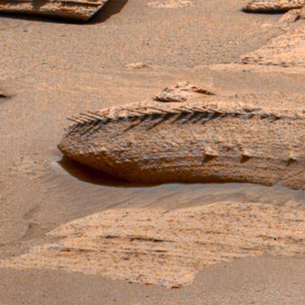 Bizarrer Stein am Mars sieht wie ein Gerippe aus