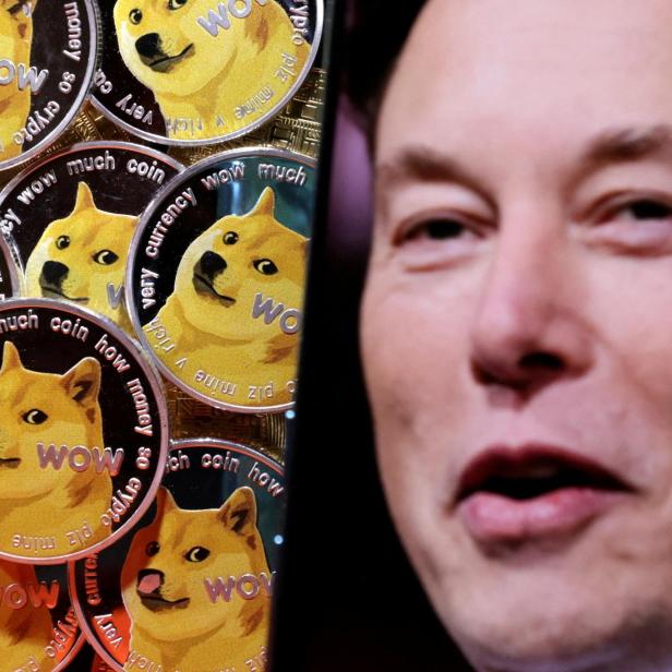 FILE PHOTO: Illustration shows Elon Musk and representations of cryptocurrency Dogecoin