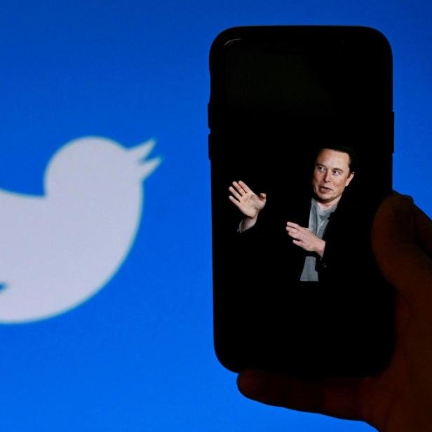 Elon Musk und Twitter-Logo