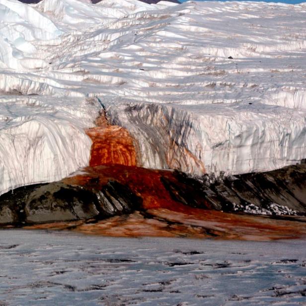 Blood Falls am Taylor-Gletscher in der Antarktis