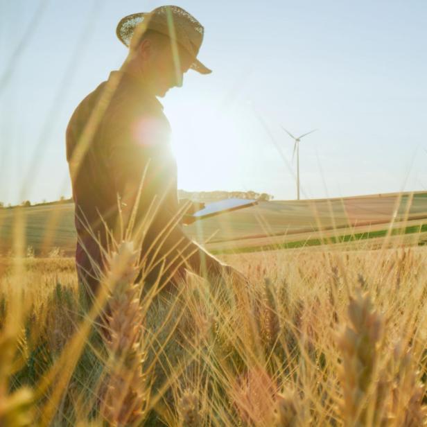 Farmer with digital tablet in wheat field