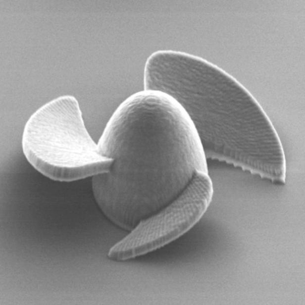 Eine elektronenmikroskopische Aufnahme eines der Mikroroboter, die dünner als ein menschliches Haar sind.