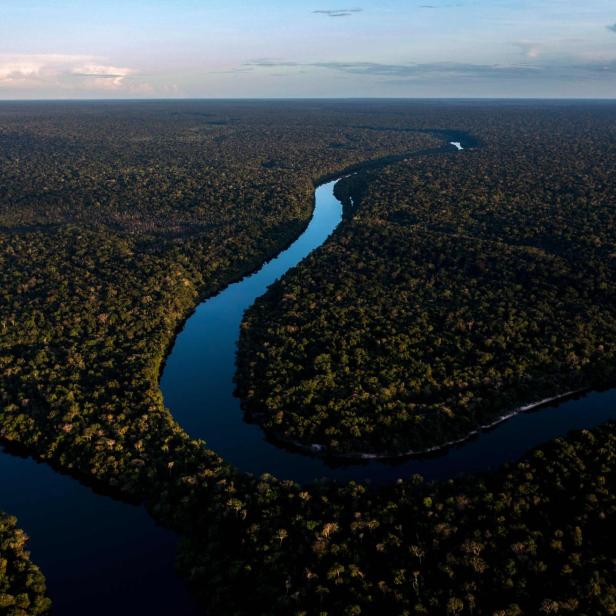 FILES-BRAZIL-GABON-ENVIRONMENT-NATURE-FOREST-SUMMIT