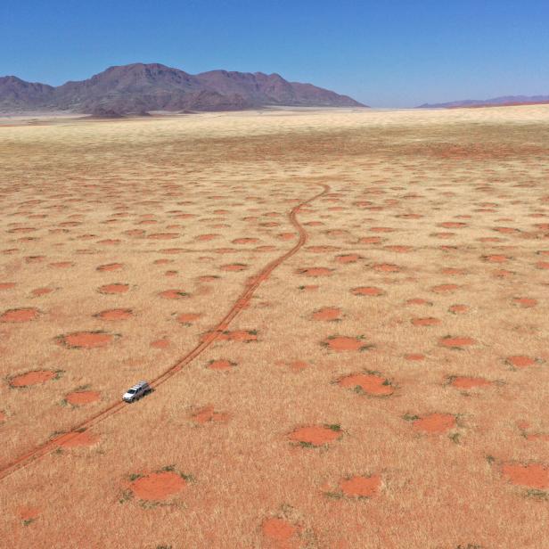 In Namibia tritt das Phänomen besonders häufig auf. 