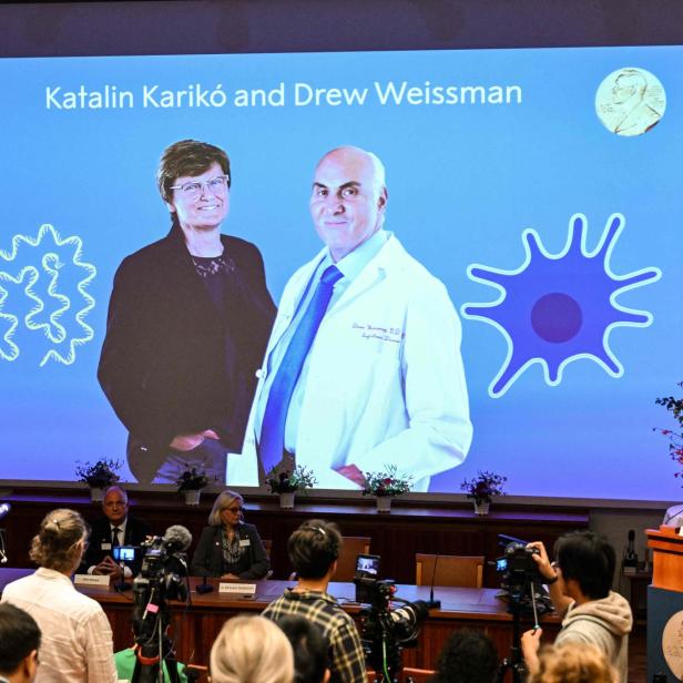 Katalin Karikó und Drew Weissman erhalten den Nobelpreis für Medizin