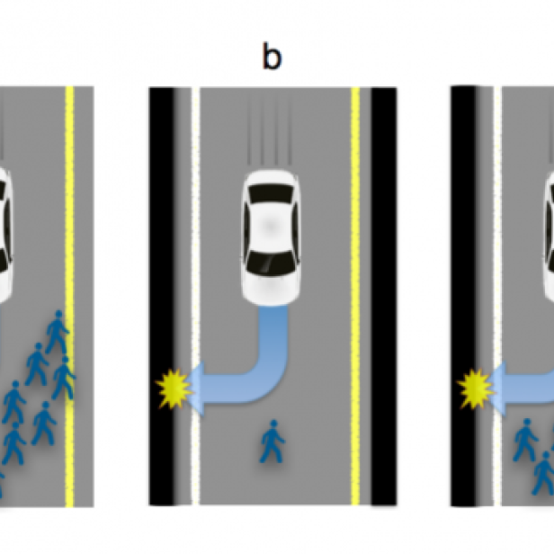 Dieses Szenario wurde den Zeitarbeitern von Amazons Mechanical Turk vorgelegt: Wen soll das selbstfahrende Auto umbringen?