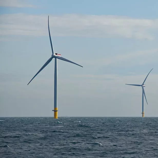 Der Windpark Hornsea 1 vor der englischen Küste besteht aus 174 Windkraftanlagen.