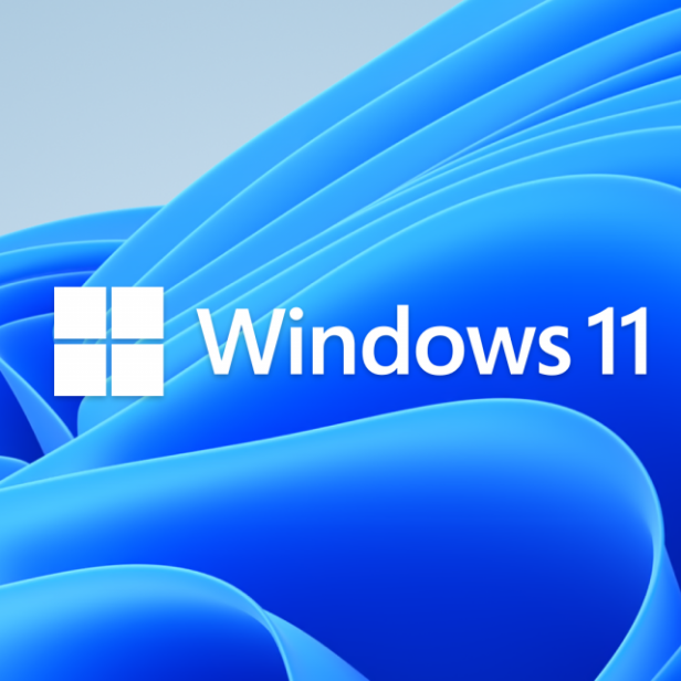 Das Windows 11-Logo vor einem abstrakten, blauen Hintergrund.