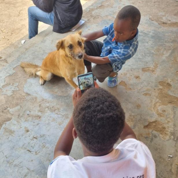 Hund in Tansania wird dokumentiert