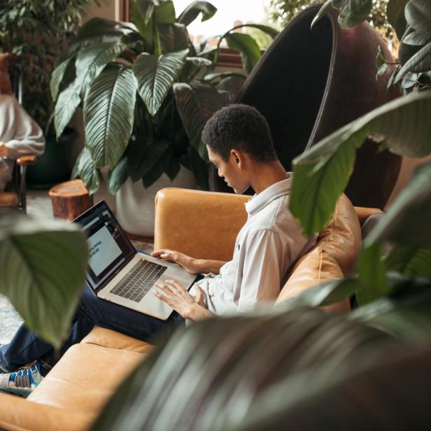 Mann mt Laptop zwischen Pflanzen