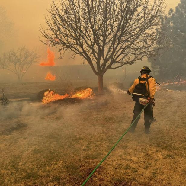 Feuerwehrmann löscht Baum 