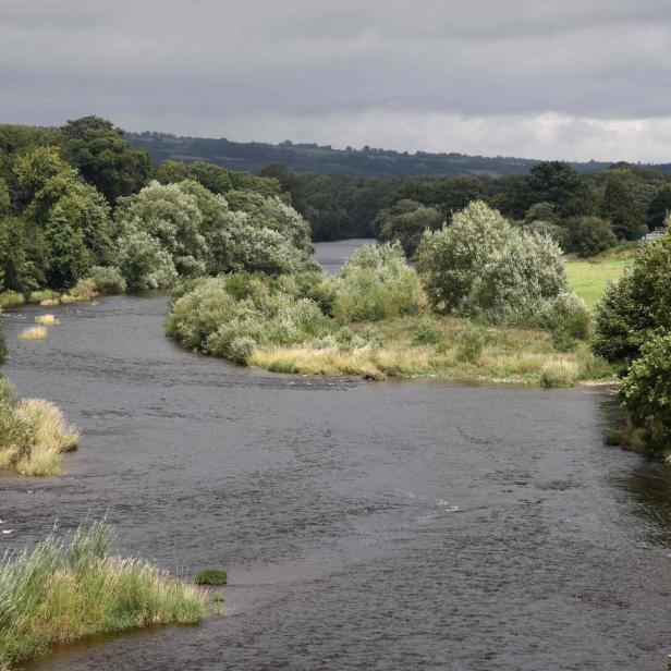 Der Wanderer entdeckte das Objekt bei einem Spatziergang in der Nähe der Waliser Ortschaft Hay-on-Wye.