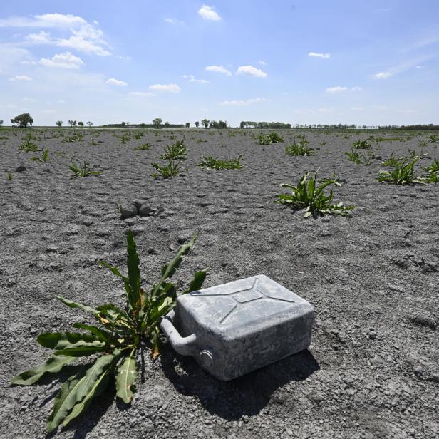 Trockenperioden werden häufiger. Klimafitte Pflanzen, saugfähige Böden und Infrastruktur helfen