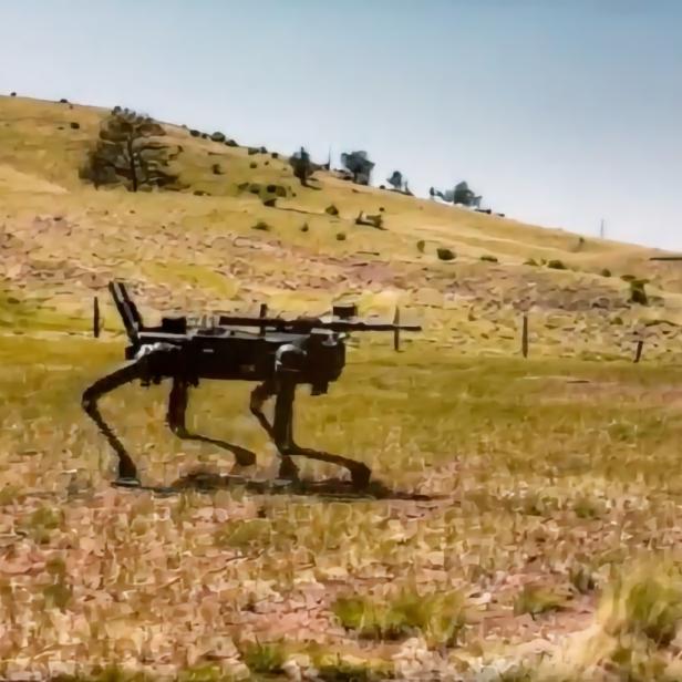 US-Marines statten Roboter-Hunde mit Sturmgewehren aus