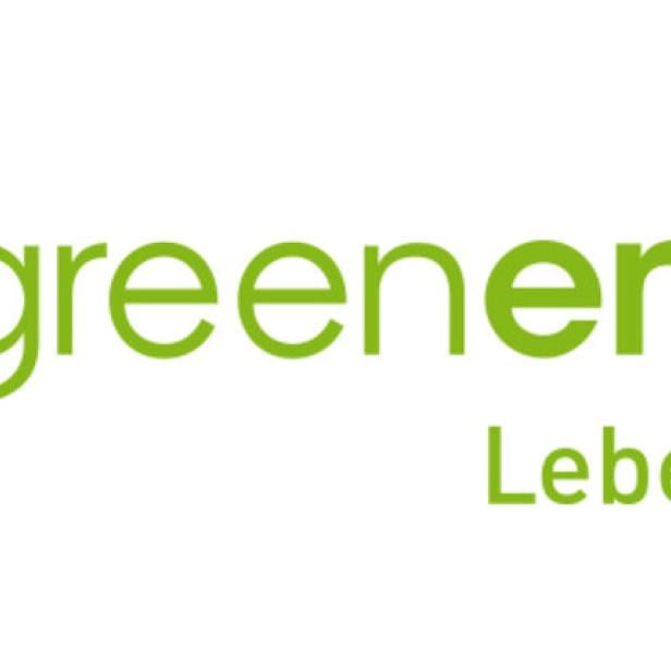 Logo easy green energy GmbH &amp; Co KG