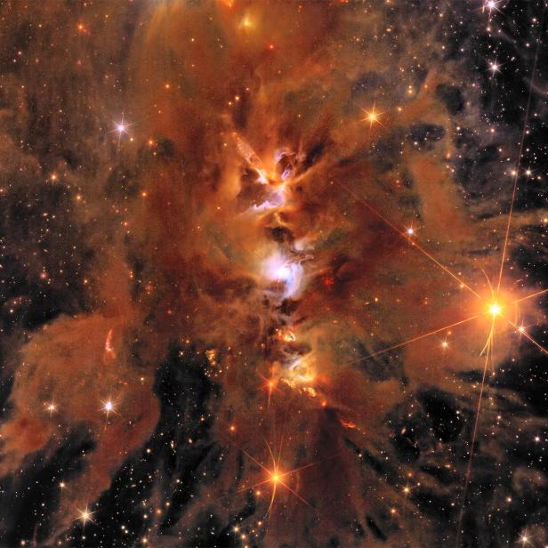 Messier 78 aufgenommen von Euclid