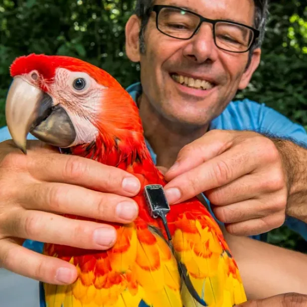 Der Biologe Martin Wikelski vom Max-Planck-Gesellschaft leitet das Mega-Projekt, bei dem bis zu 200.000 Tiere getrackt werden sollen.