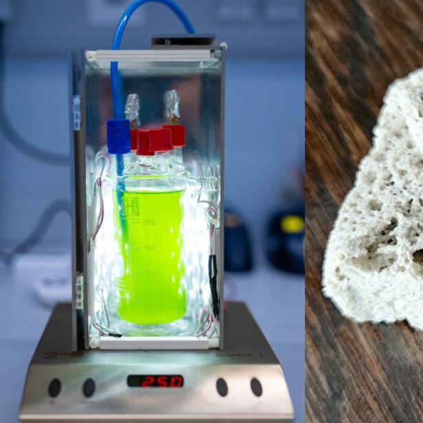 Die Forscher des Fraunhofer-Instituts haben ein neues Verfahren zur Betonherstellung entwickelt, bei dem Bakterien in Baumaterialien verwandeln.