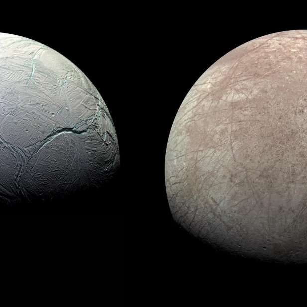 Enceladus und Europa